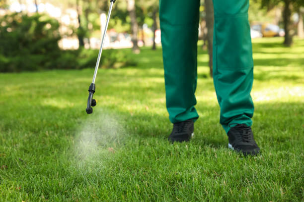 Best Pest Control Near Me  in St Matthews, KY